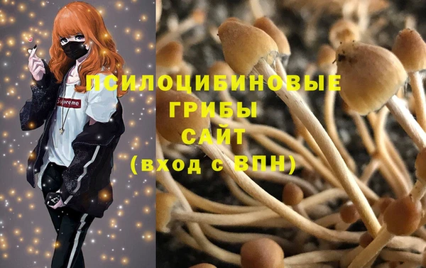 бутират Дмитриев