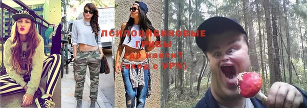 бутират Дмитриев