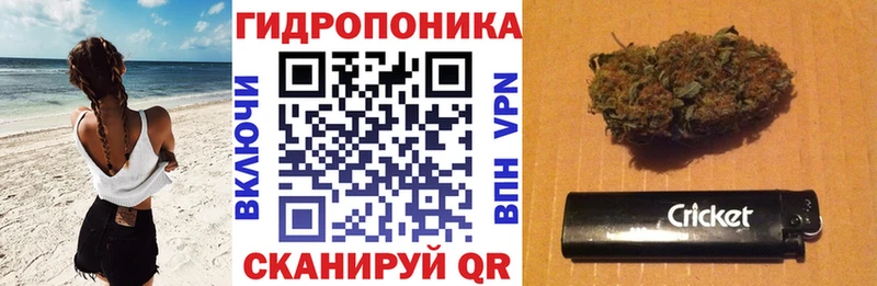 купить наркоту  Пикалёво  Канабис Amnesia 